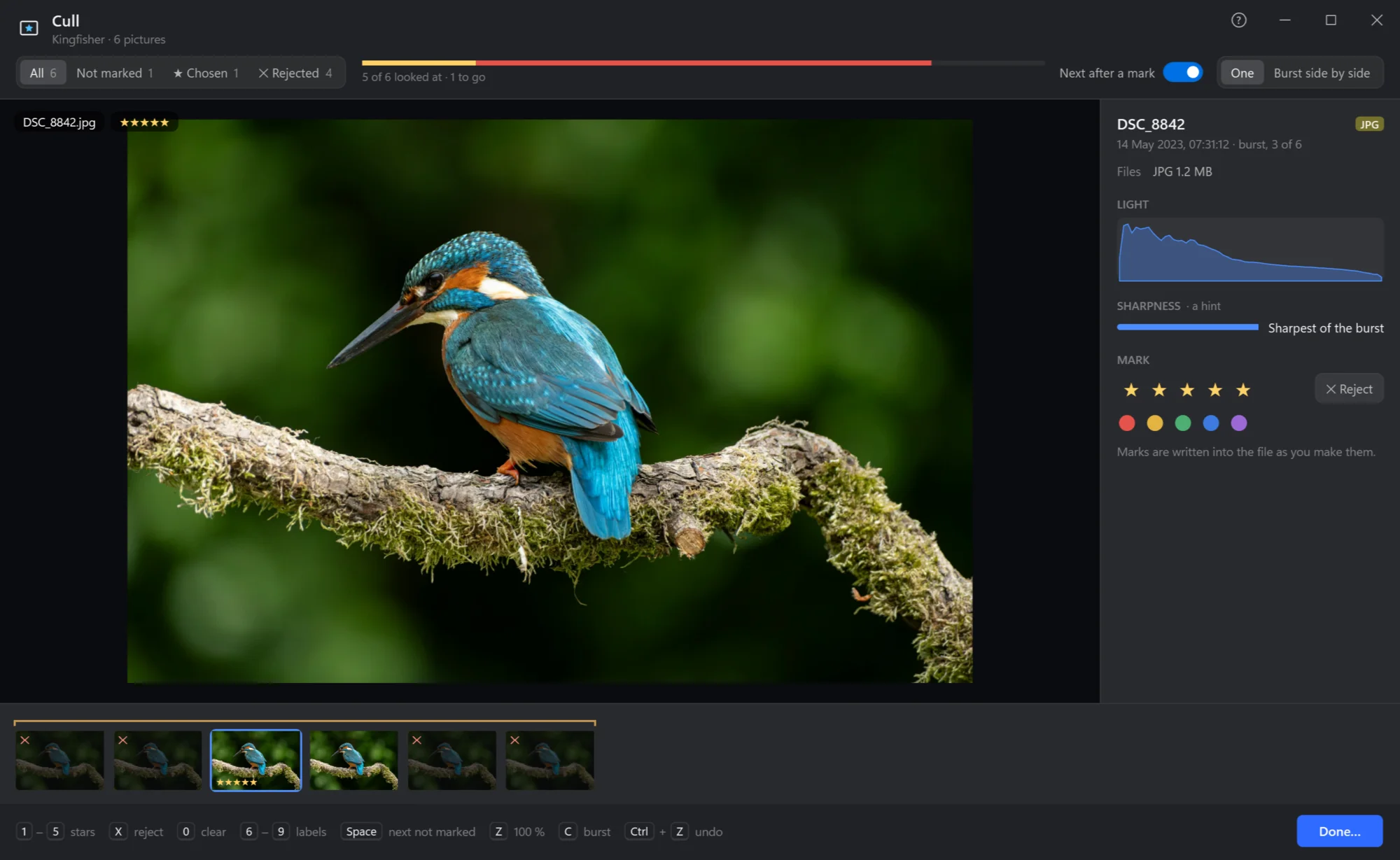 Cull over a kingfisher burst: the shot large, its histogram and sharpness, stars and labels