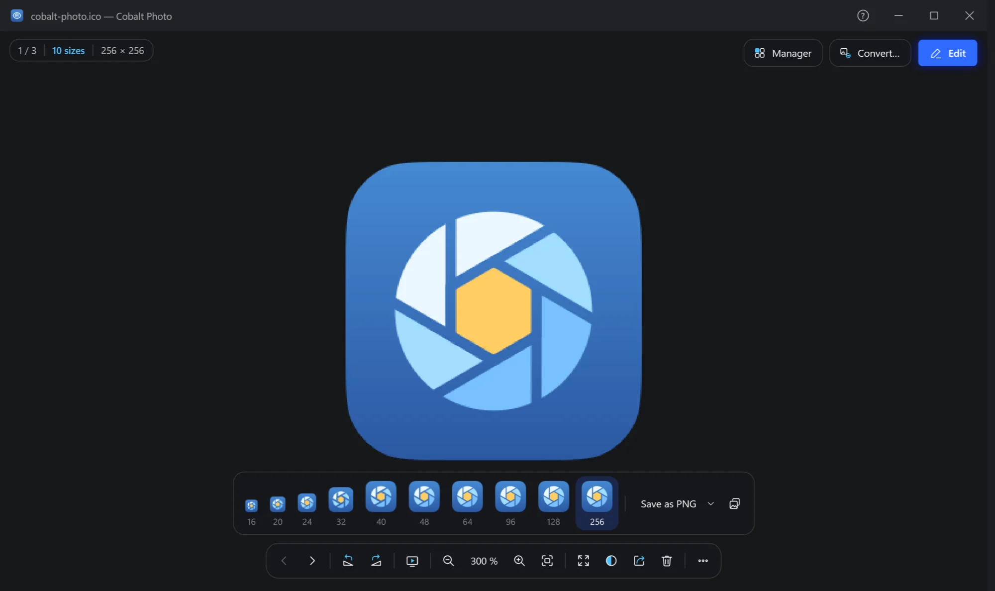 The viewer with an icon file open and the strip of its eight sizes under it
